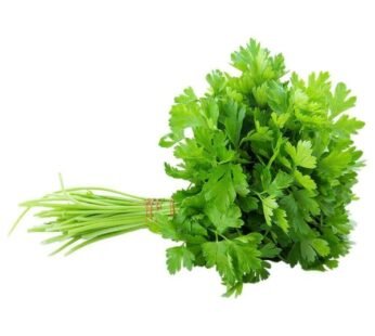 Coriander