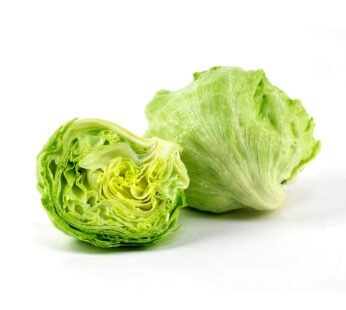 Iceberg Lettuce