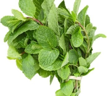 Mint / Pudhina