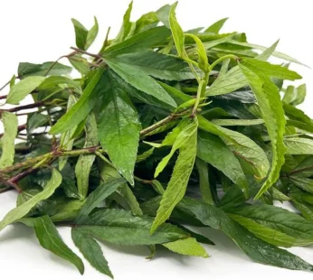 Pulicha Keerai (Gongura)
