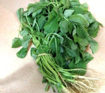 Mula Keerai Cleaned and Chopped