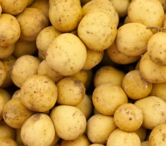 Baby Potato Whole