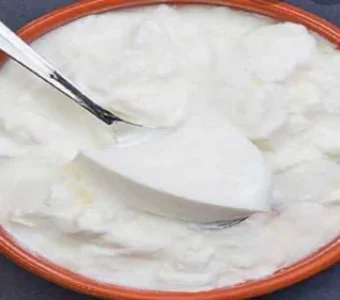 Homemade thick curd